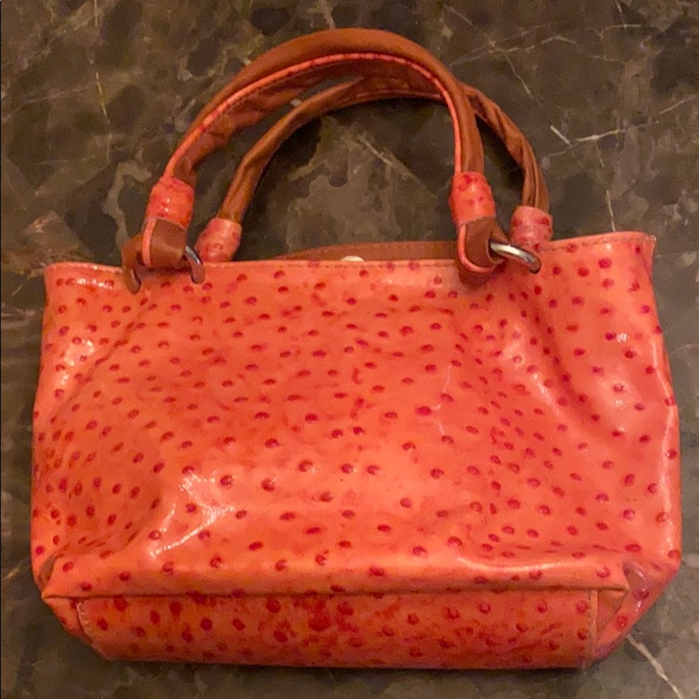 Watermelon Bag 🍉